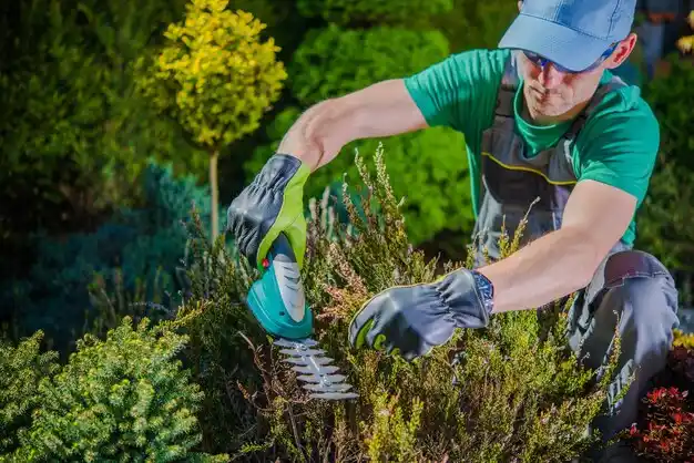 landscaping services Krotz Springs